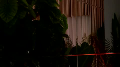 Denise online show from 04.06.26