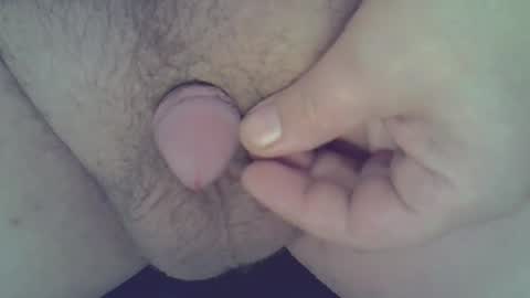 maggot online show from 12.21.24