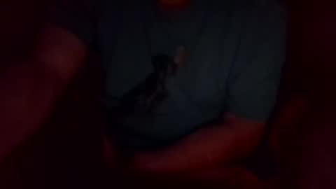 jesse444 cum show online show from 09.20.25