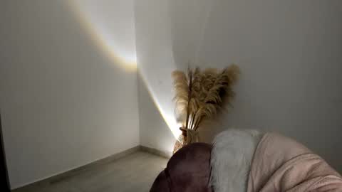 Kim Murphy online show from 11.20.25