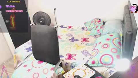 Anita. online show from 01.31.25