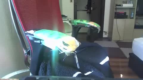 kinchan069 online show from 02.05.25