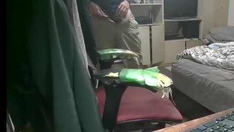 kinchan069 online show from 11.09.25