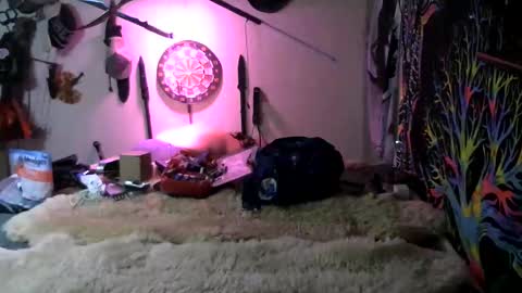 Jerry online show from 03.07.26