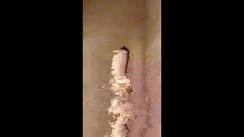 Snapshot of kini8278 chatting on 02.21.26 kini8278 online show from 02.21.26