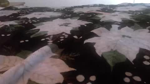 Kinky K80 online show from 11.24.25