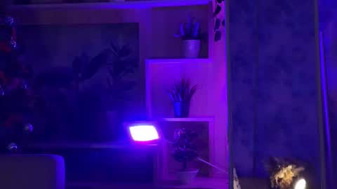 Kira    online show from 02.16.25