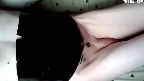 Snapshot of kisskissnya chatting on 12.23.24 kisssssssssssss online show from 12.23.24