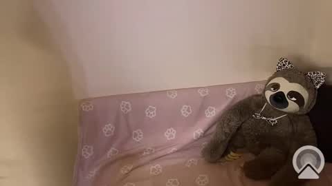 kitiket1 online show from 02.11.25