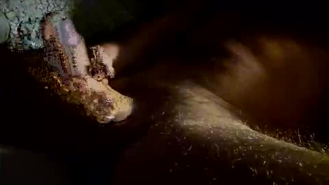 Kitkat loco online show from 11.04.25