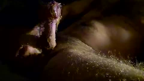 Kitkat loco online show from 11.28.25