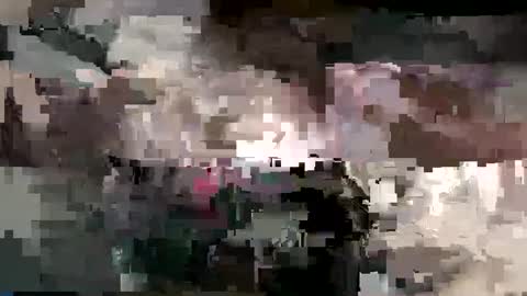 KittenKatch online show from 10.04.25