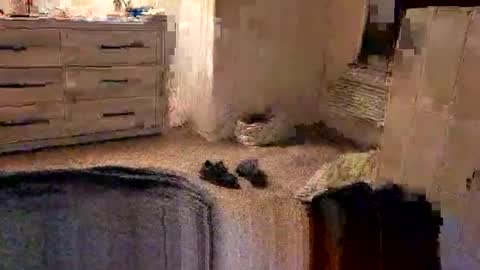 kittykat175154 online show from 02.27.26