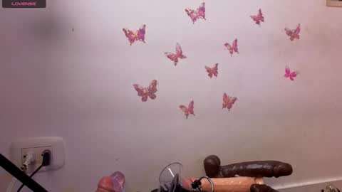 Kitty online show from 01.17.26