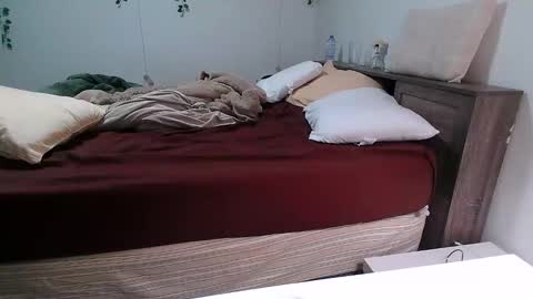 Kittyymaze online show from 12.18.25