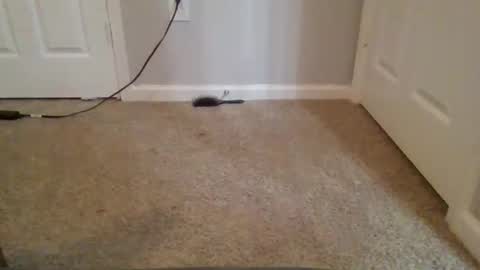 kkristy07 online show from 02.21.26