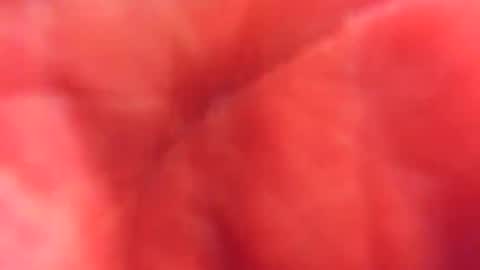 kobayaske online show from 02.15.25