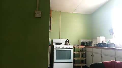 Snapshot of korn4lyfe chatting on 03.01.25 Prince makonnen online show from 03.01.25