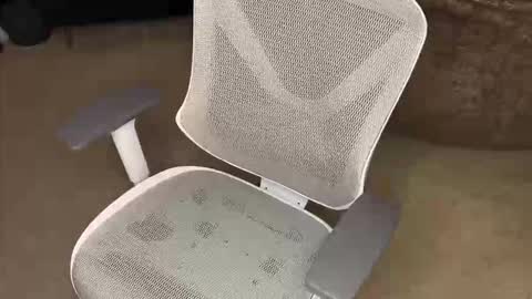 your hairy neighbor online show from 12.16.25