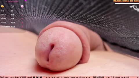 Petra online show from 01.07.25