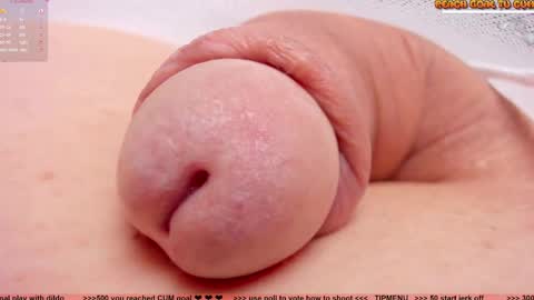 Petra online show from 12.01.25