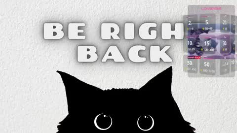   online show from 02.25.26