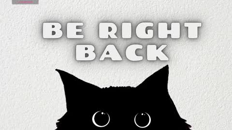   online show from 03.04.26