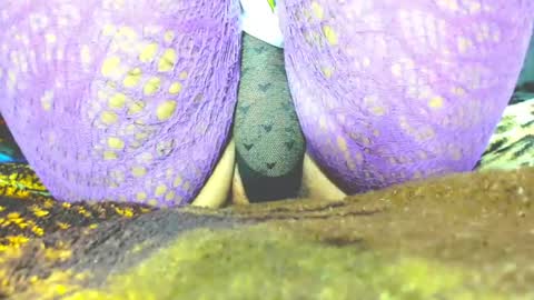 kryxtal online show from 03.19.26