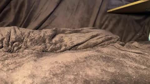 kylevandick online show from 04.11.26