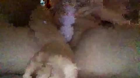 kylie online show from 02.27.26