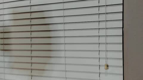 Kylie online show from 01.14.26