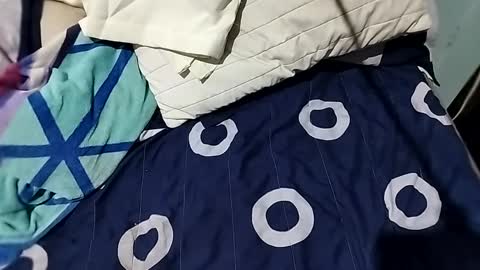 l0c0fundias online show from 09.13.25