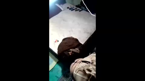 labestiareconoseme44420 online show from 04.01.26