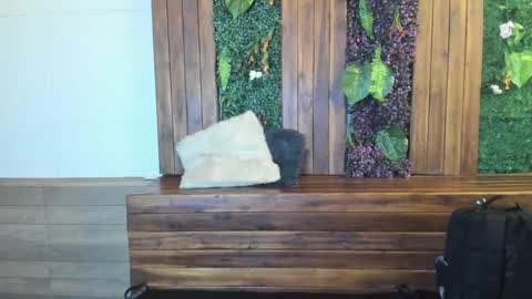 labrinthteasing online show from 03.02.26