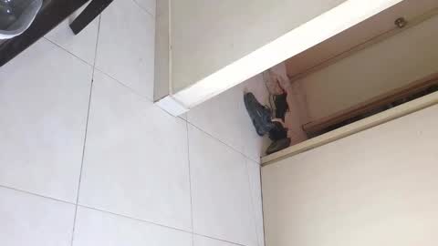 Bruno Smith online show from 12.20.25