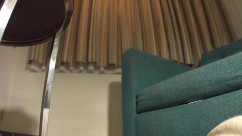 lacub online show from 02.19.25