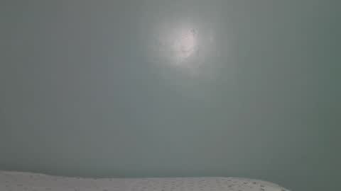 lady_dearra online show from 01.17.26