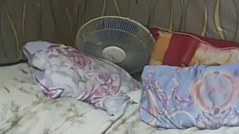 LadyXSnakes online show from 02.07.25