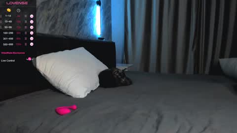 Bella online show from 01.28.25