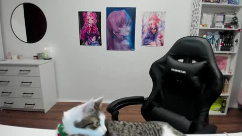 Kira online show from 12.17.24