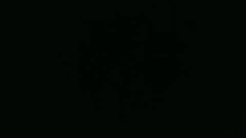 ANNIE online show from 12.01.25