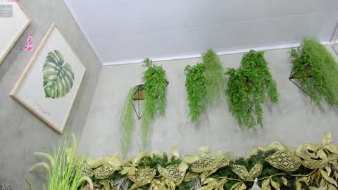 Snapshot of lana_lann chatting on 12.20.24 lana_lann online show from 12.20.24