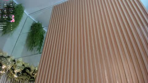 Snapshot of lana_lann chatting on 12.28.24 lana_lann online show from 12.28.24