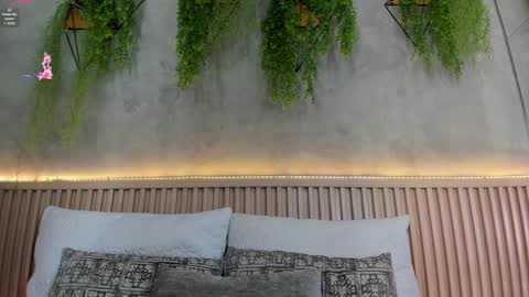 Snapshot of lana_lann chatting on 01.31.25 lana_lann online show from 01.31.25