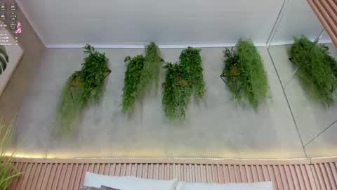 Snapshot of lana_lann chatting on 03.12.25 lana_lann online show from 03.12.25