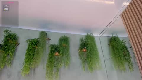 Snapshot of lana_lann chatting on 11.10.25 lana_lann online show from 11.10.25