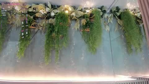 Snapshot of lana_lann chatting on 12.03.25 lana_lann online show from 12.03.25