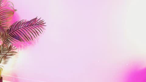 Snapshot of lana_ortega chatting on 03.29.26 LANA online show from 03.29.26