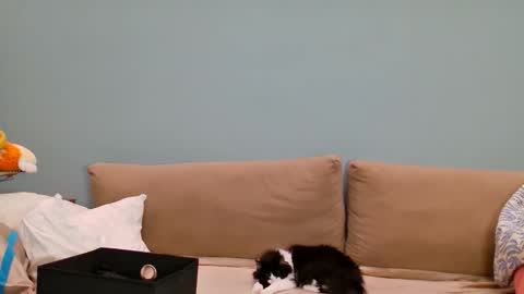 Lana online show from 05.24.26