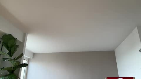 Lanimal online show from 03.10.26